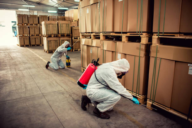 Best Wasp Removal Services  in Columbia, MO