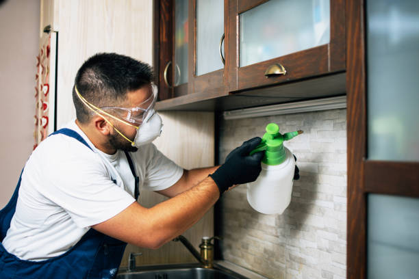 Pest Control for Restaurants in Columbia, MO
