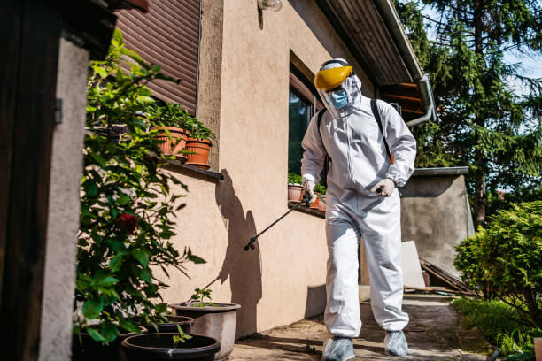 Best Affordable Pest Control Services  in Columbia, MO