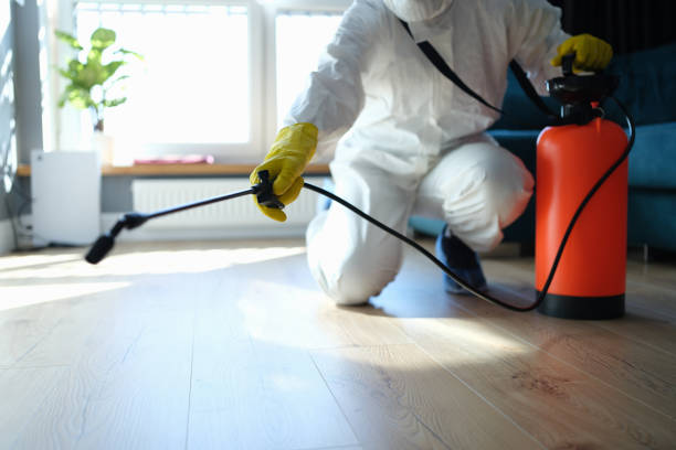 Trusted Columbia, MO Pest Control Experts