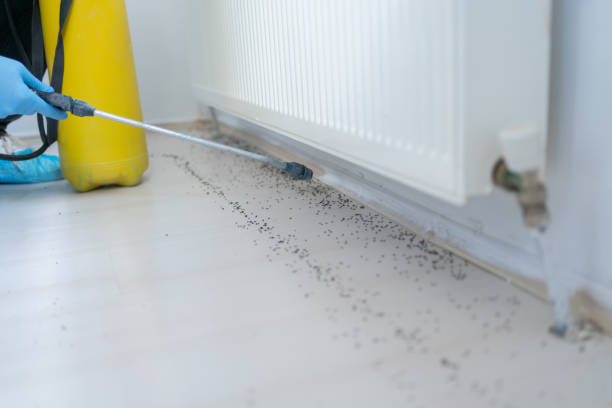 Best Pest Control Near Me in Columbia, MO