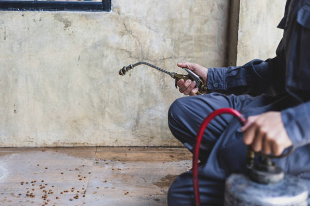 Best Wasp Removal Services  in Columbia, MO